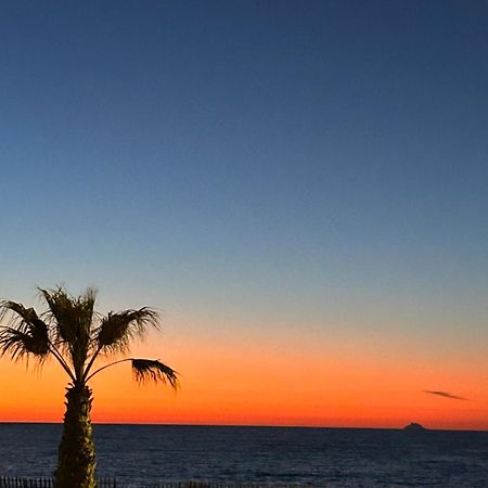 Petite Endroit Splendide. Apartment Six-Fours-les-Plages Bagian luar foto