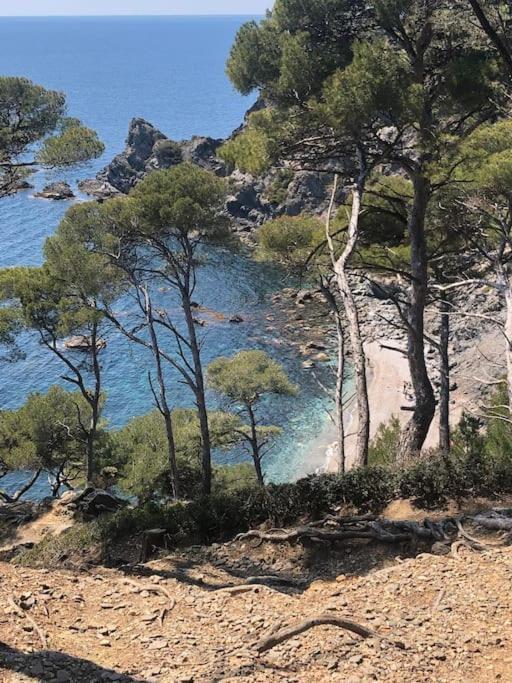 Petite Endroit Splendide. Apartment Six-Fours-les-Plages Bagian luar foto