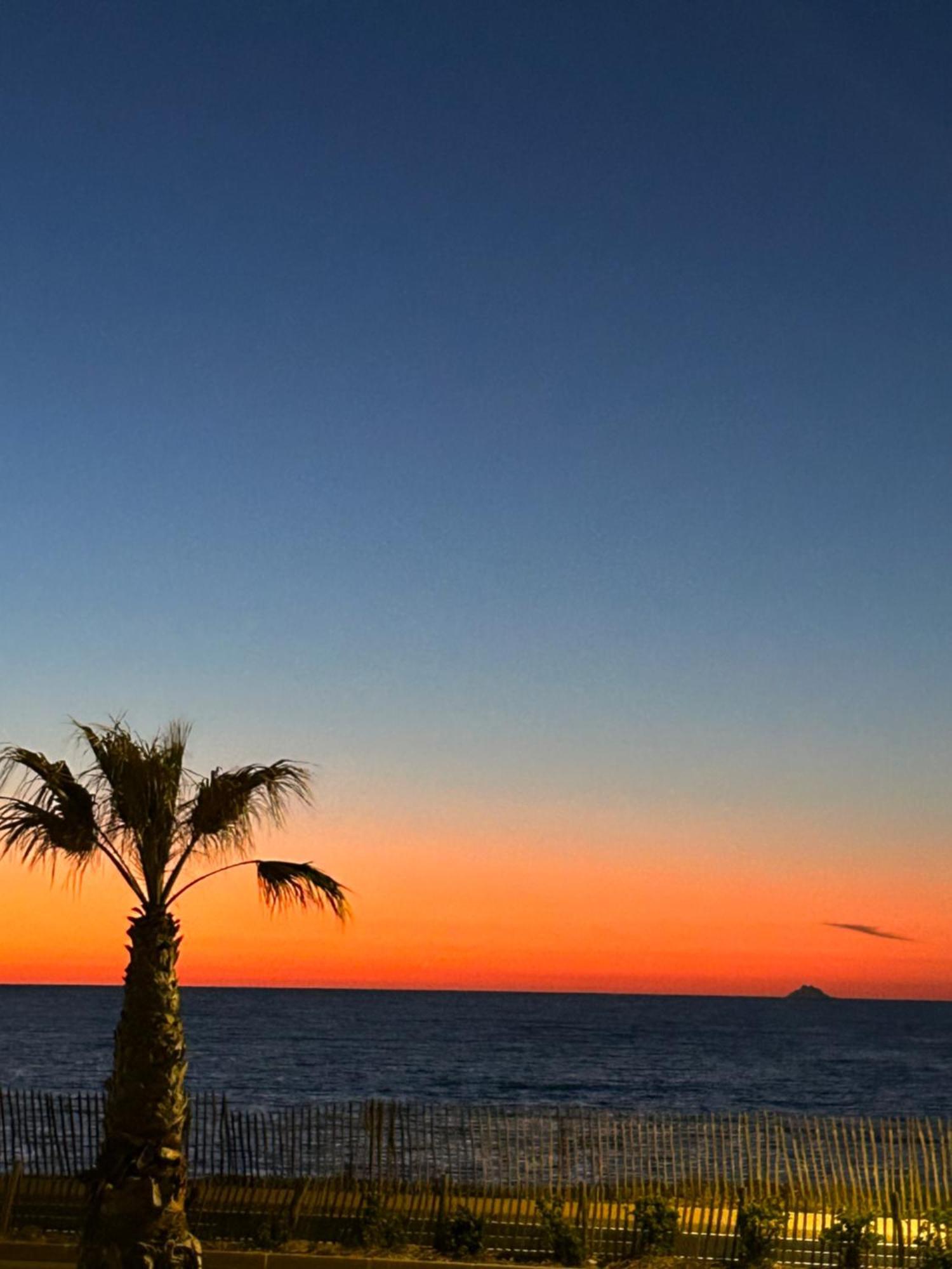 Petite Endroit Splendide. Apartment Six-Fours-les-Plages Bagian luar foto