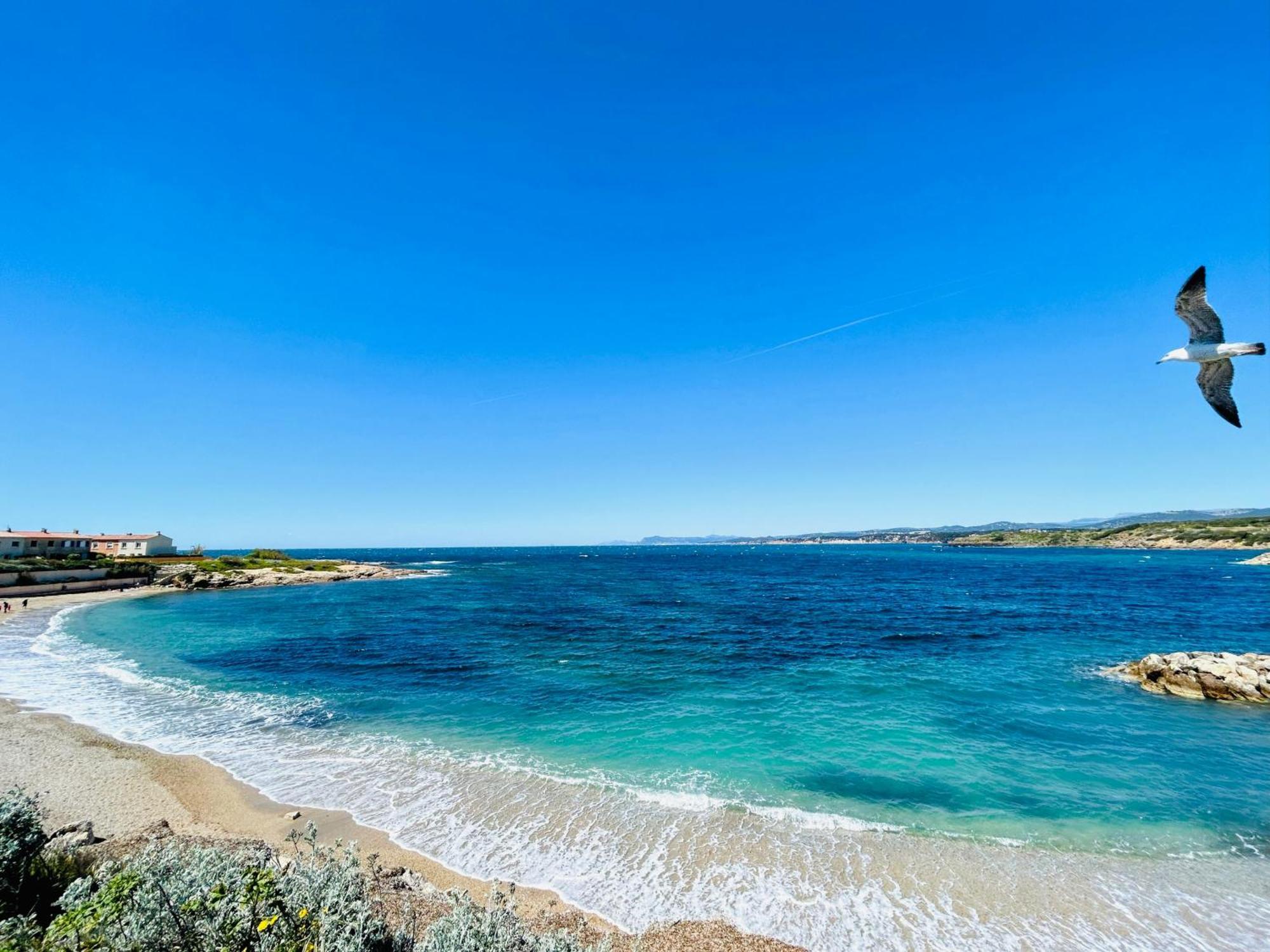 Petite Endroit Splendide. Apartment Six-Fours-les-Plages Bagian luar foto